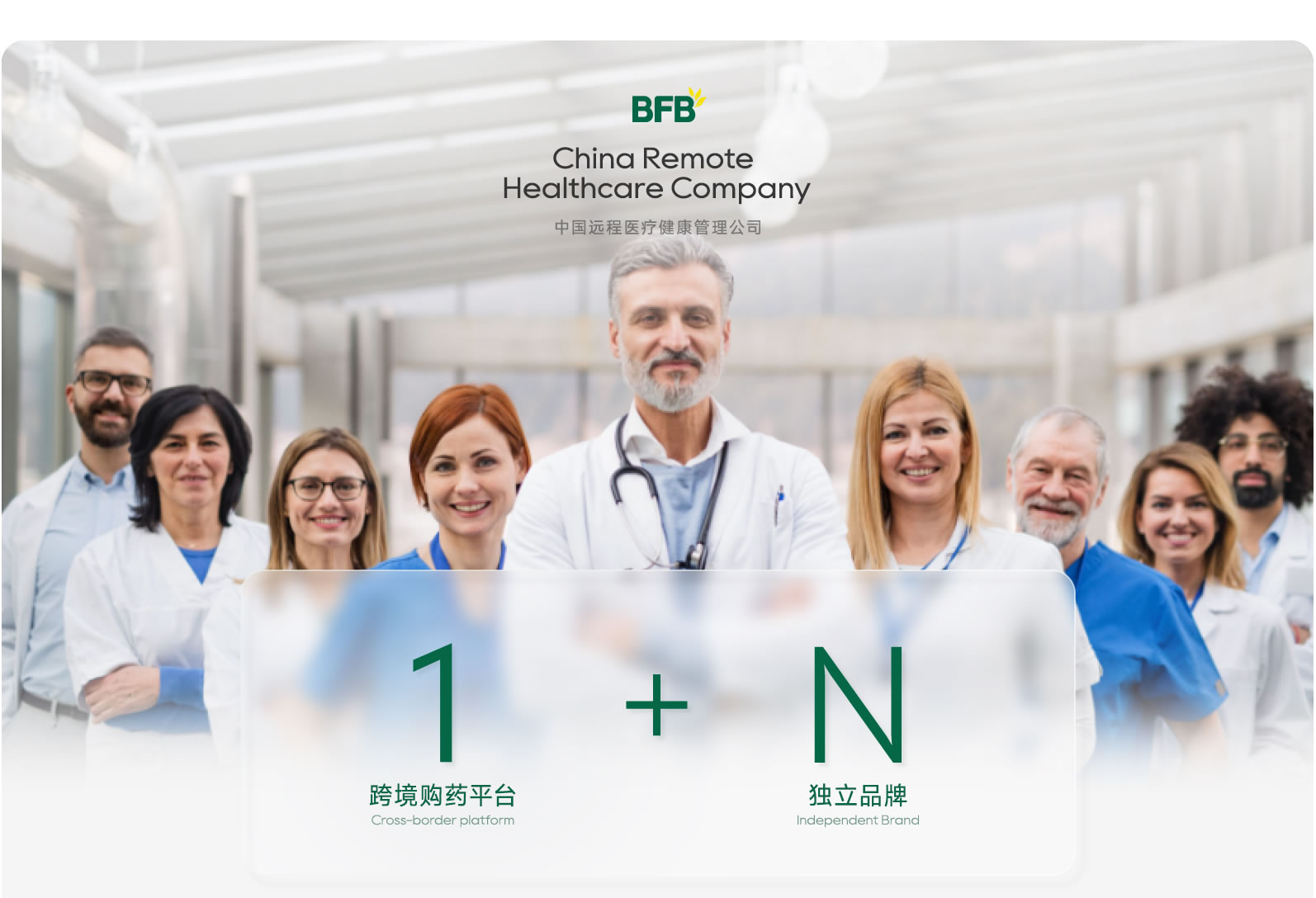 BFB公司 1+N 模式介绍图